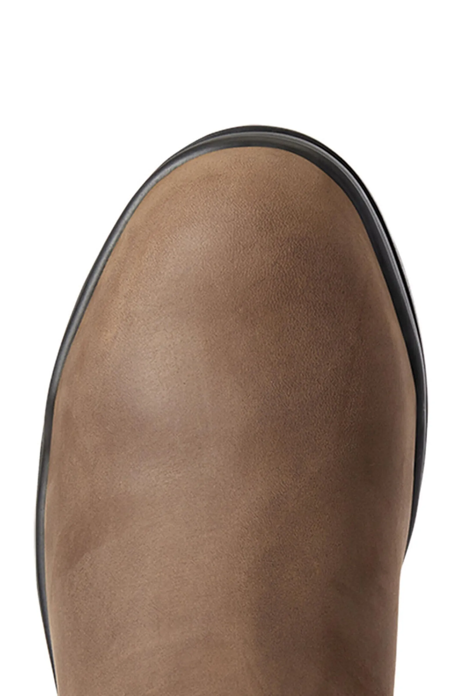 Online Keswick dames jodphurstøvler med ståltå Ridesko Og Jodphurs