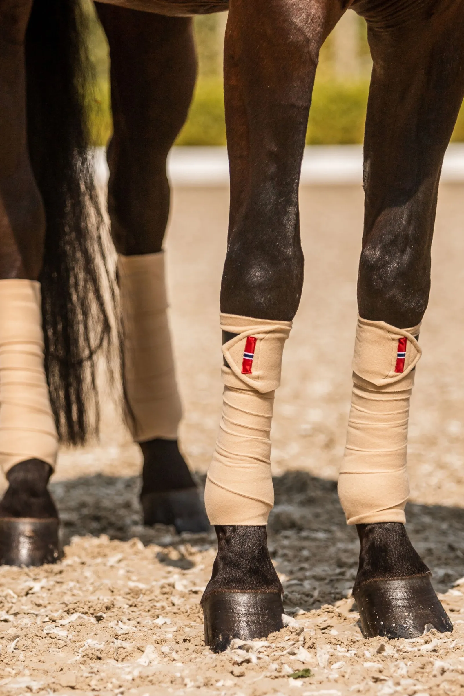 Outlet B Vertigo Amory fleecebandasjer Bandasjer