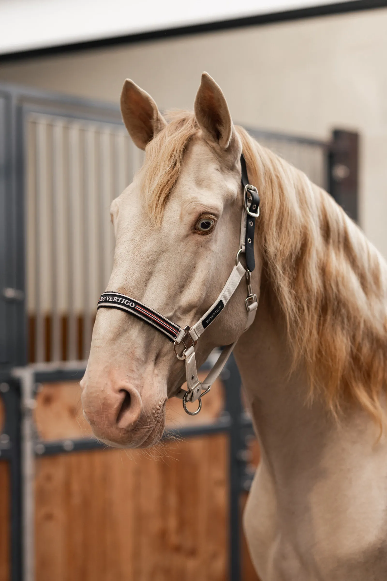 Outlet B Vertigo Empowerment Field-Safe grime Grimer