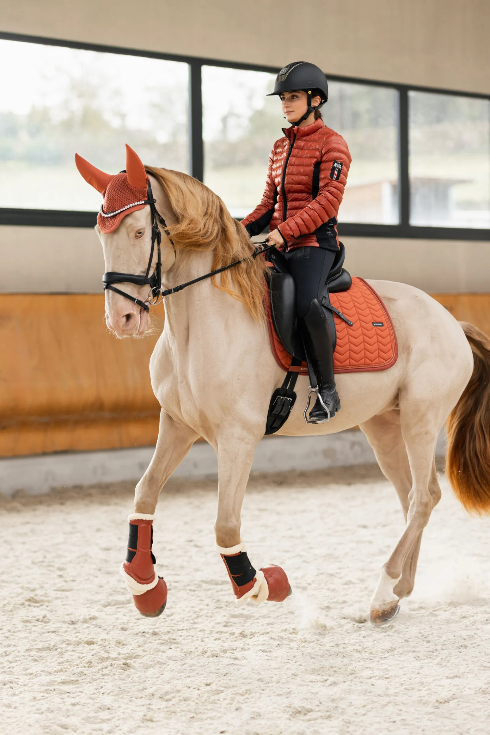 Best B Vertigo Empowerment stryksokker Belegg Til Hest