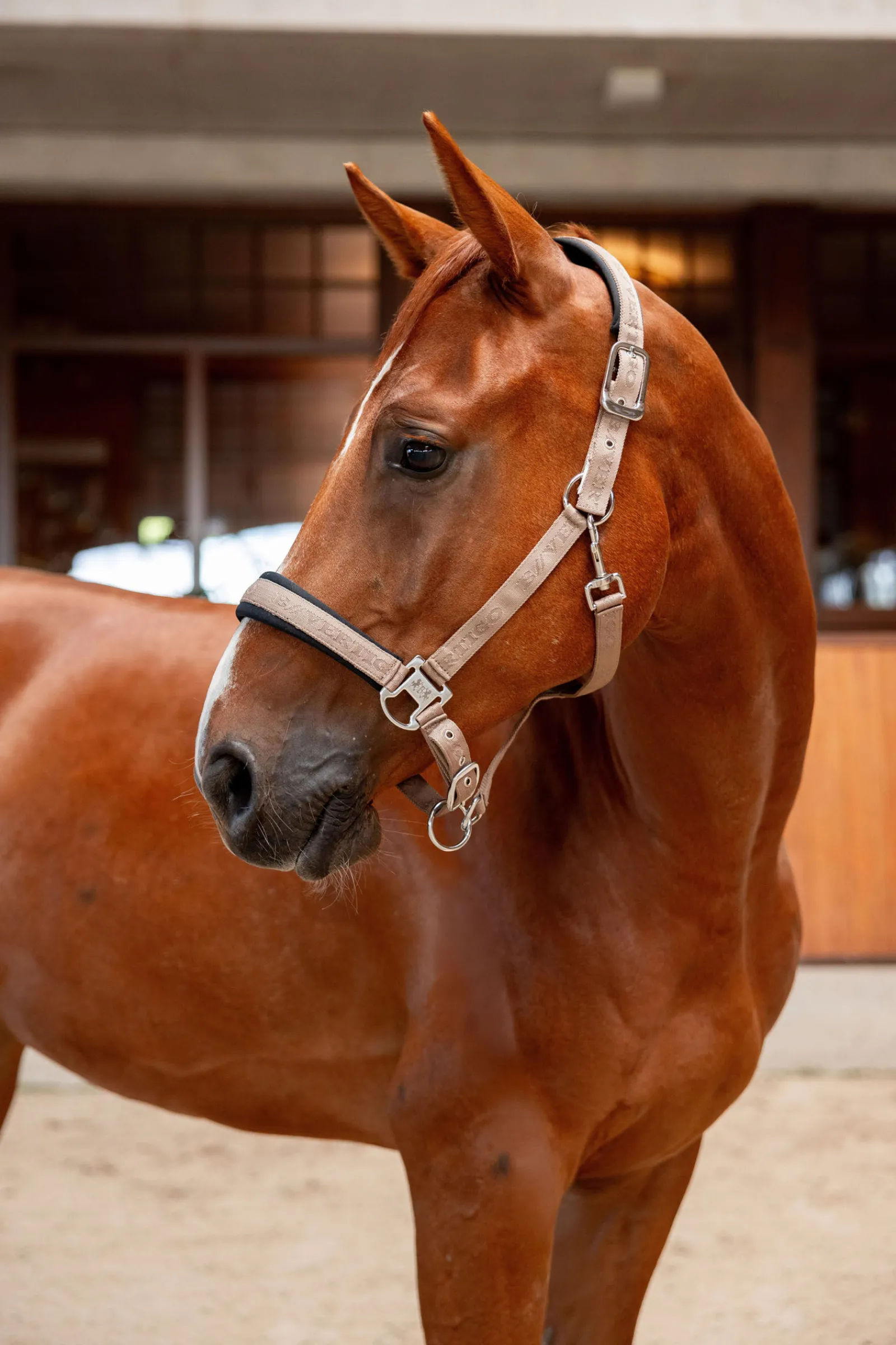 Clearance B Vertigo High Altitude preget grime Grimer