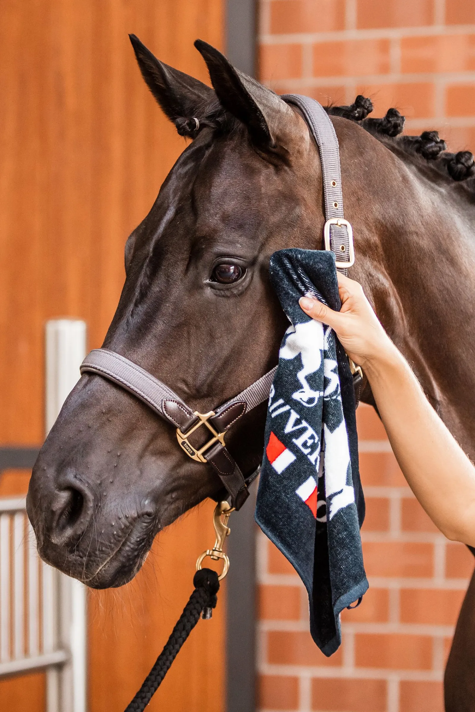 Clearance B Vertigo hånd-håndkle Hesteleker