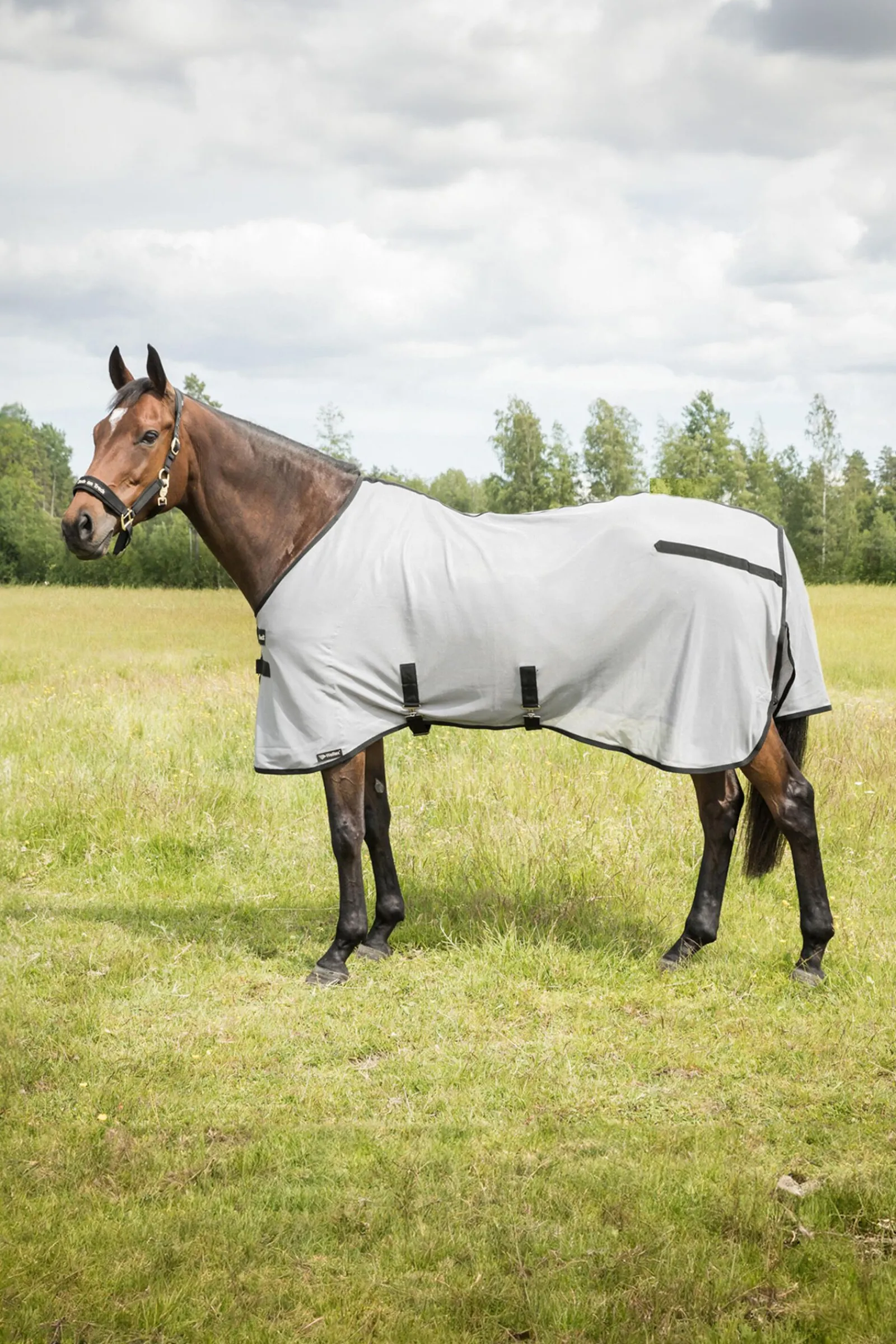 Sale Back on Track Buzter fluedekken uten hals Insektsdekken|Insektsdekken