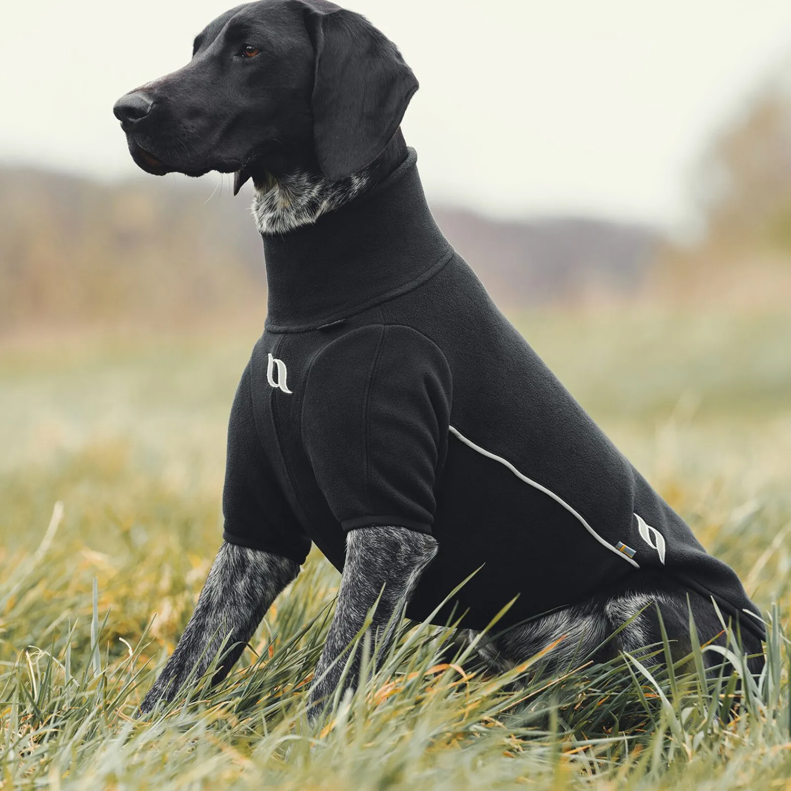 Outlet Back on Track Cassie allværsgenser, 35-40 cm Hundeklær Og Hundedekken