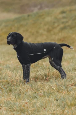 Online Back on Track Cassie allværsgenser, 25-30 cm Hundeklær Og Hundedekken