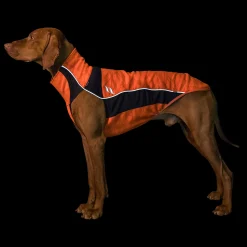 Clearance Back on Track Eddie High-Visibility genser, 50-55 cm Hundeklær Og Hundedekken