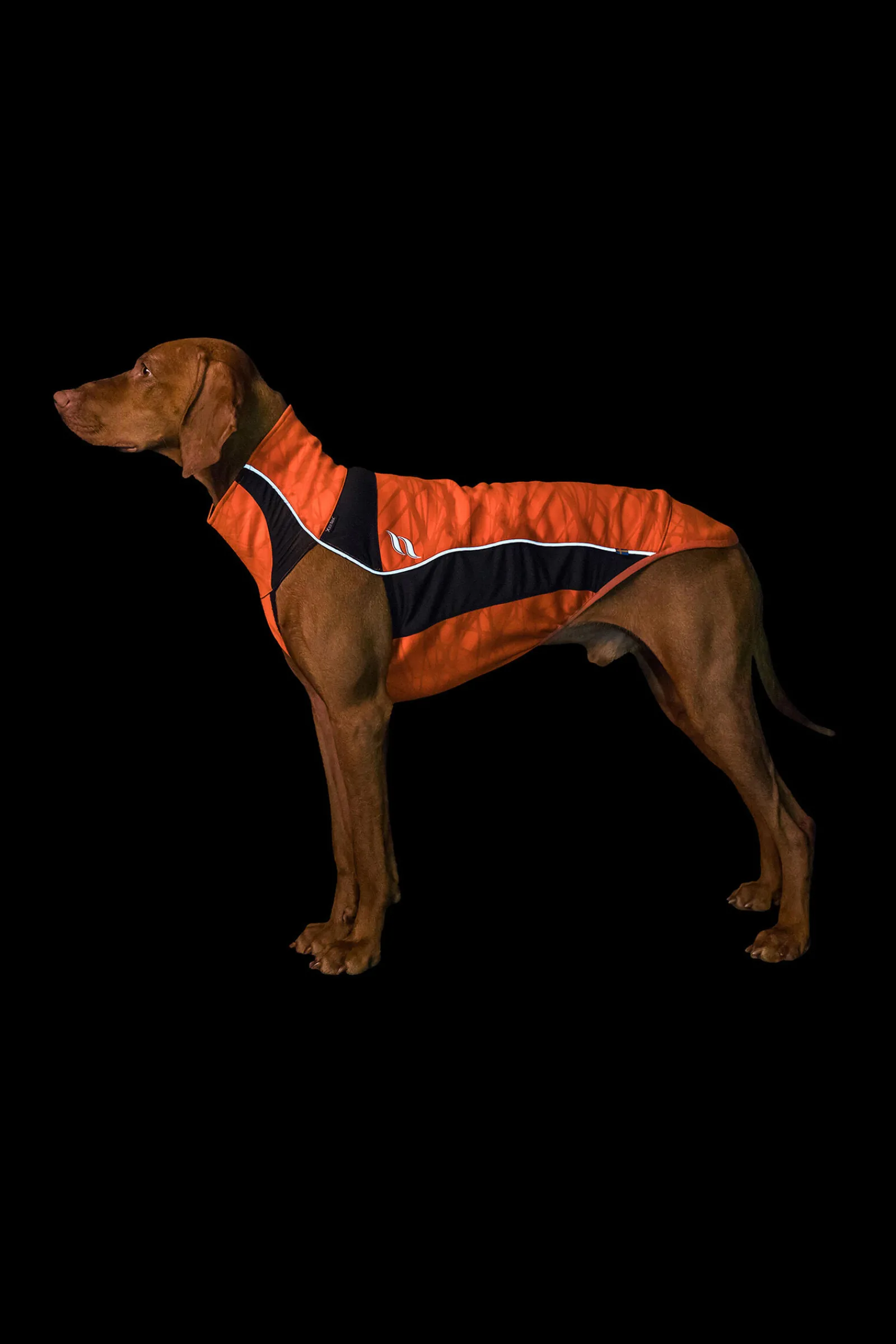 Sale Back on Track Eddie Petite High-Visibility genser, 30-35 cm Hundeklær Og Hundedekken