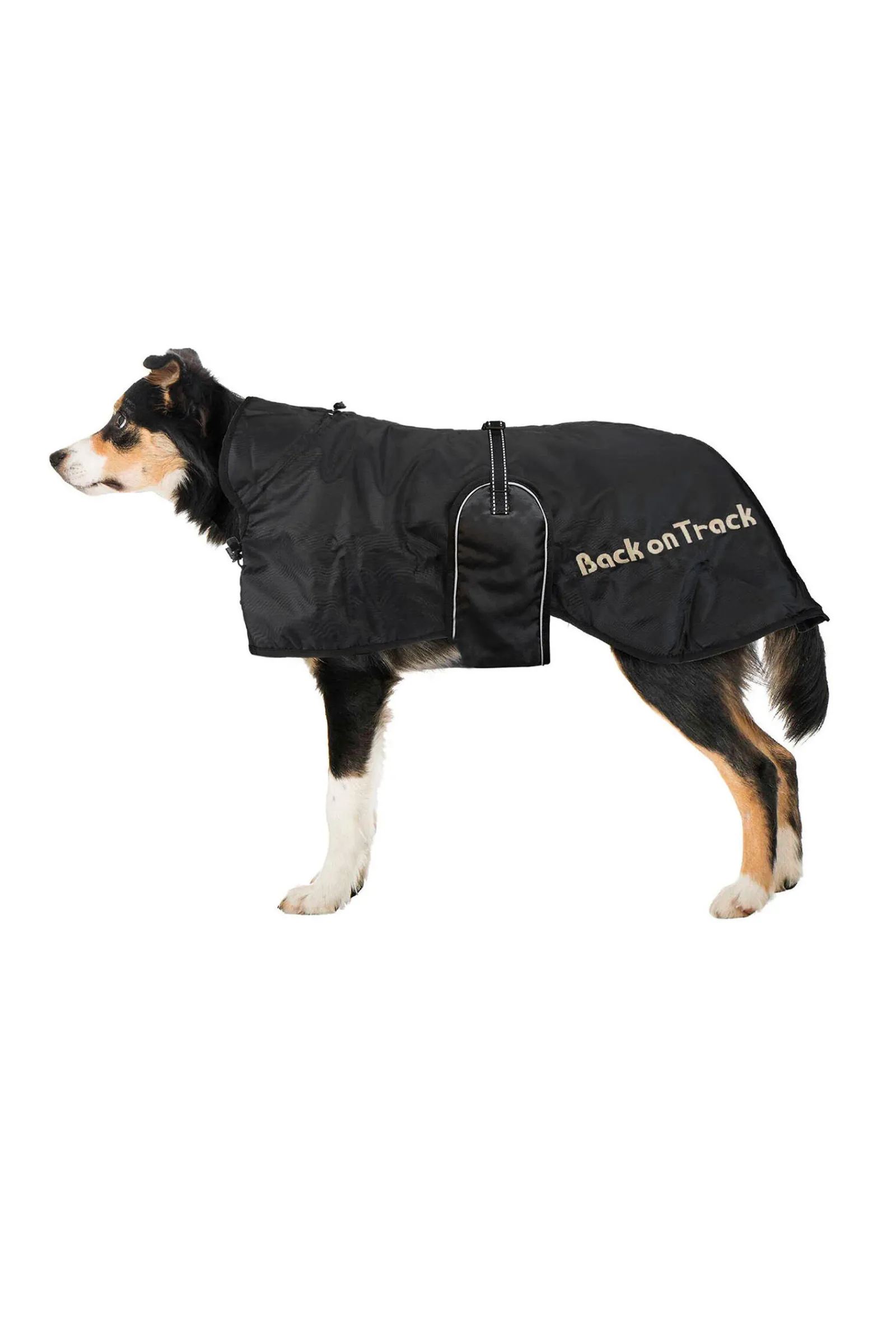 Outlet Back on Track hundedekken (43-59) Hundeklær Og Hundedekken