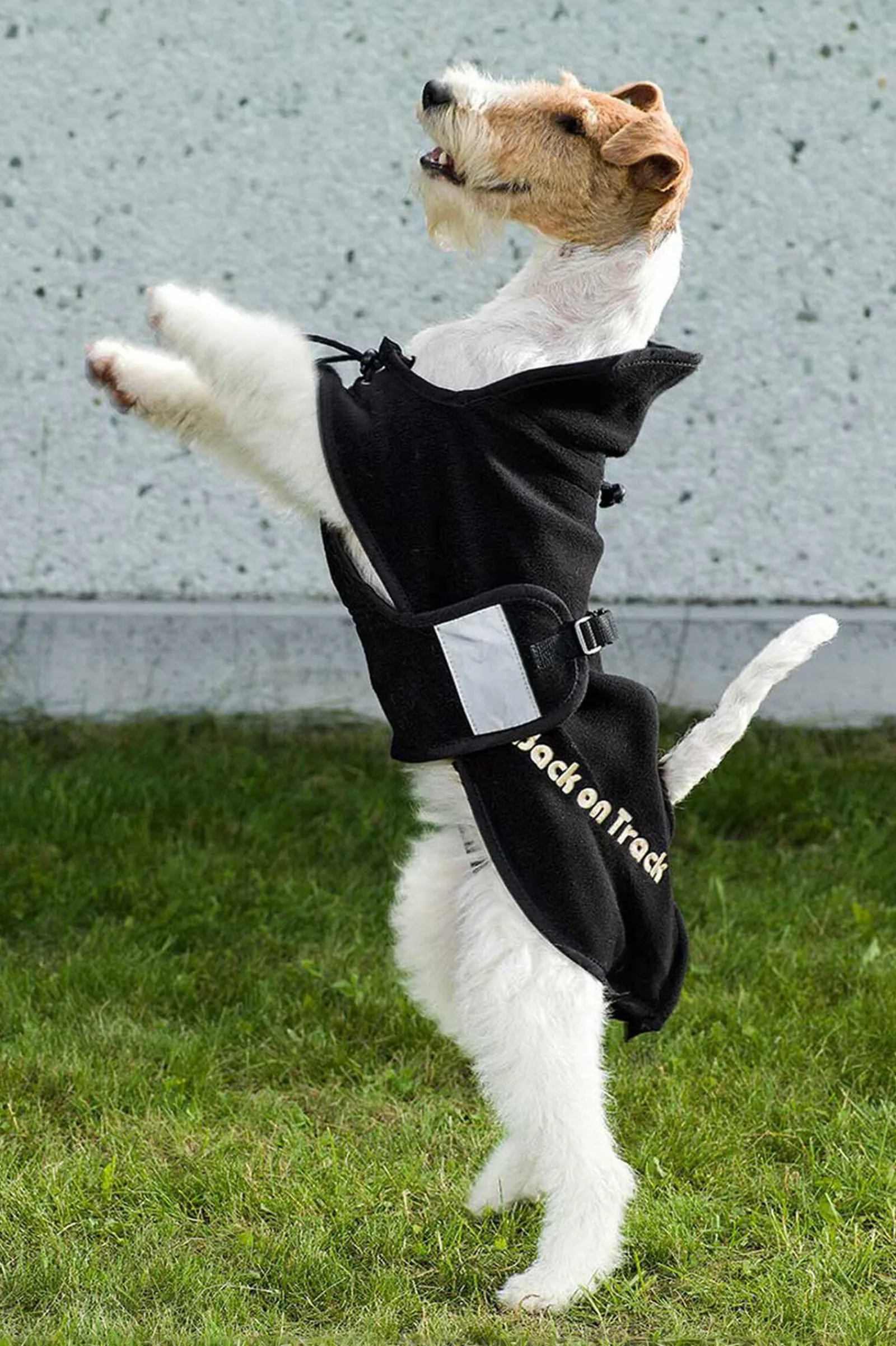 Online Back on Track hundedekken i fleece, 59-74 Hundeklær Og Hundedekken