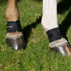 Hot Back On Track kodebeskytter Ponni Belegg|Kopper Til Hest
