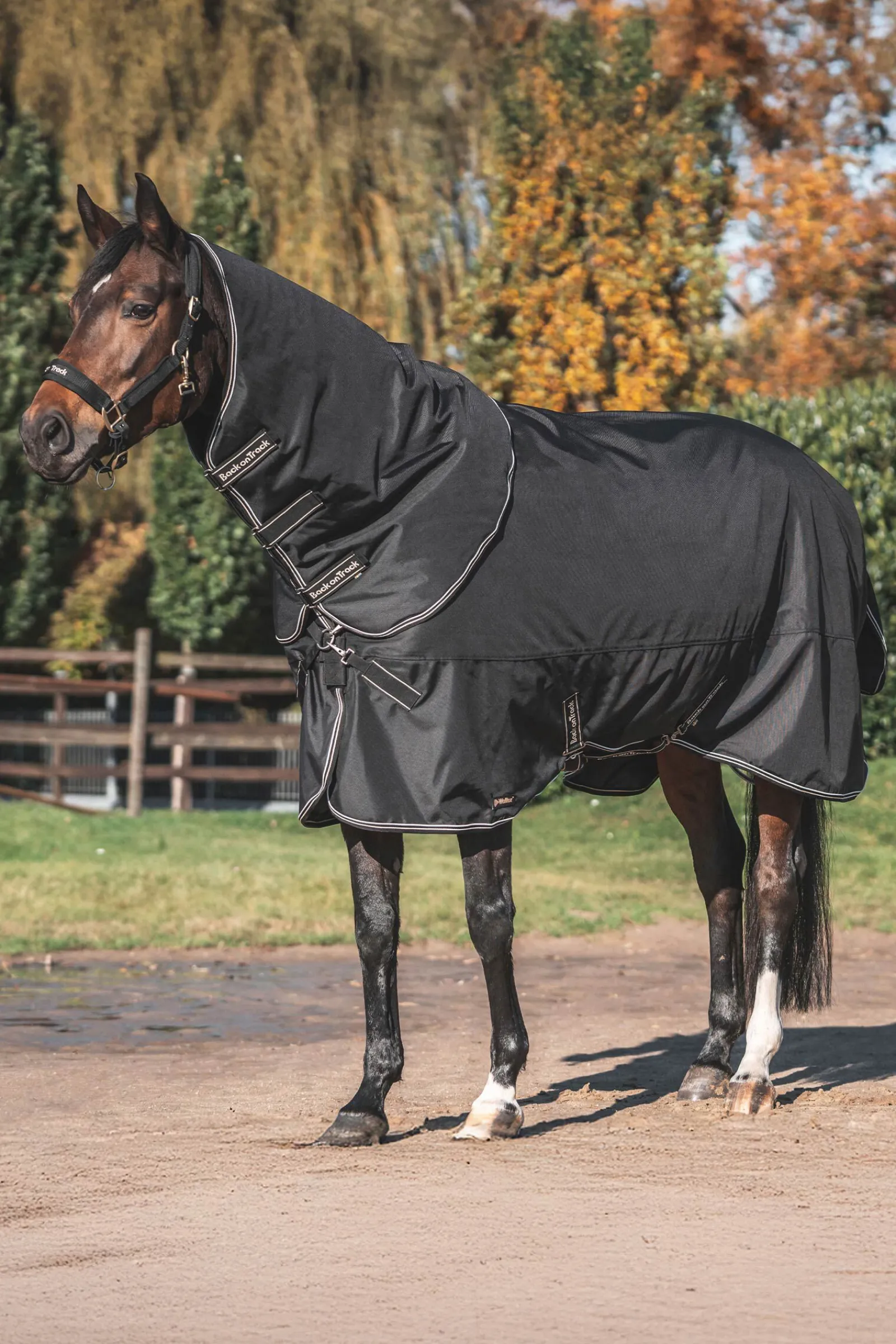 New Back on Track Obsidian Utedekken med avtakbart halsstykke, 150g Overgangsdekken & Vinterdekken