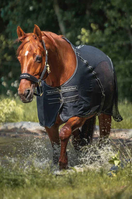 New Back on Track Sienna cooler Ulldekken Og Svettedekken
