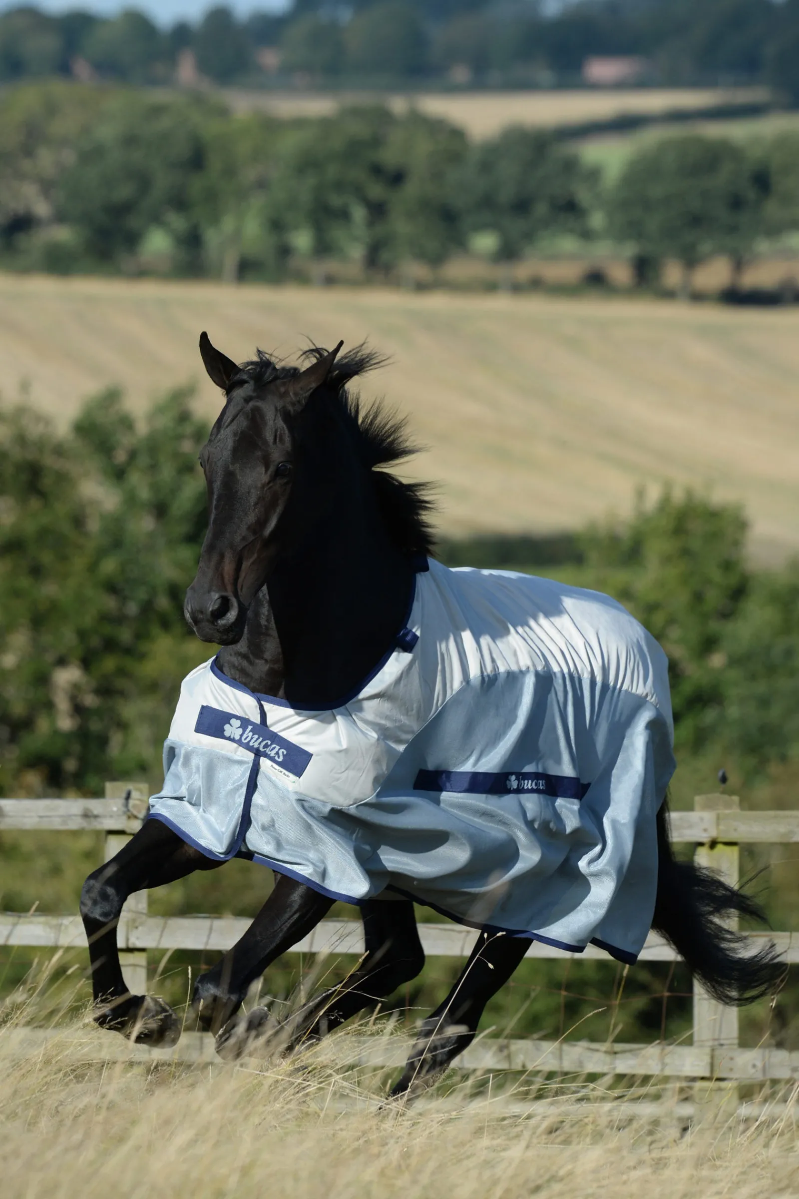 Online Buzz-Off Rain fluedekken Insektsdekken|Insektsdekken