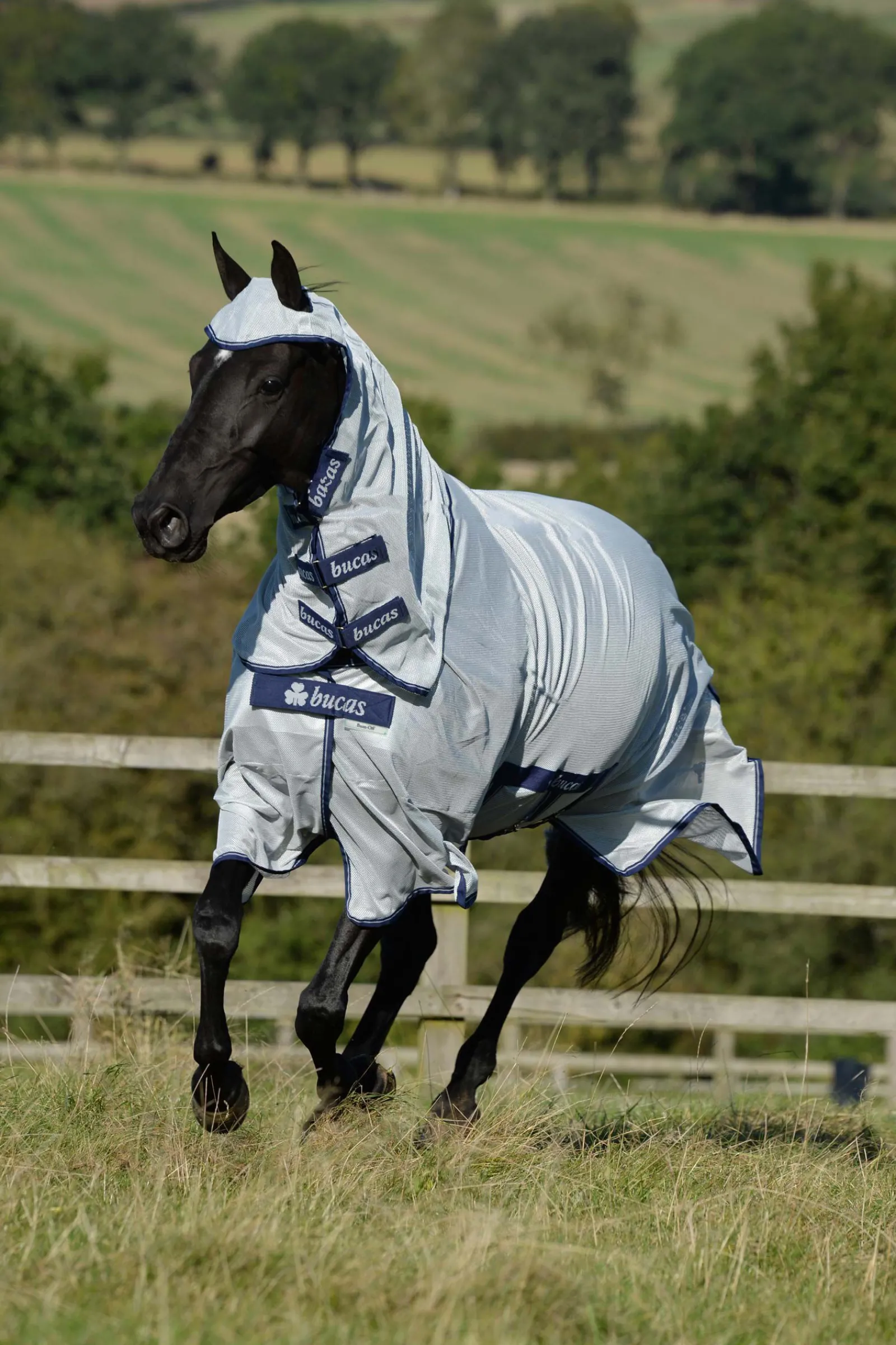 Online Buzz-Off X Big Neck fluedekken med fast halsdel Insektsdekken|Insektsdekken