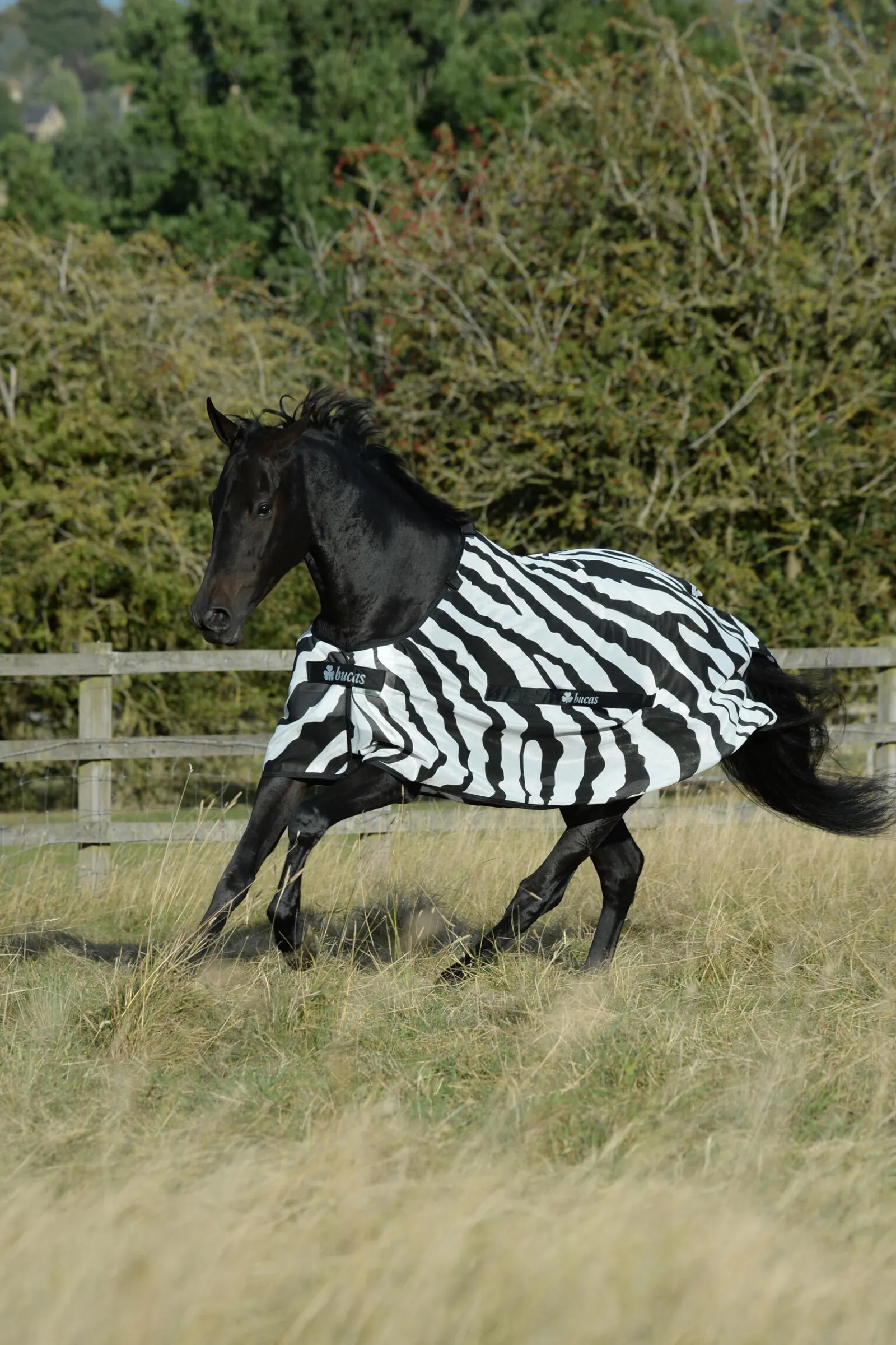 Outlet Buzz-Off Zebra fluedekken med avtagbart halsstykke Insektsdekken|Insektsdekken