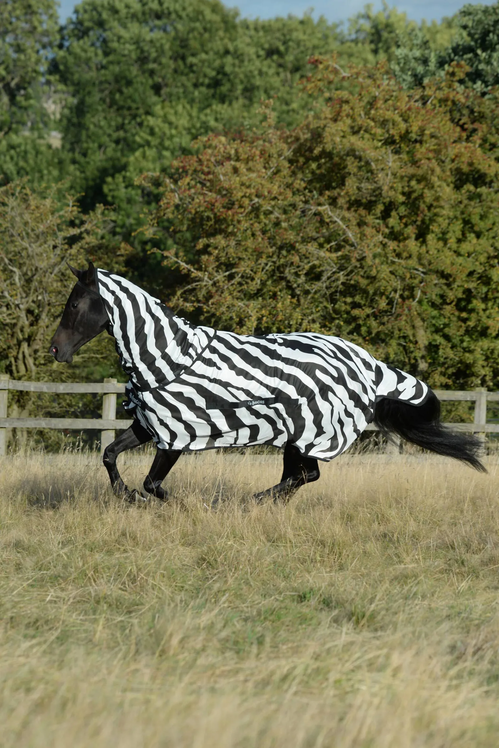 Outlet Buzz-Off Zebra fluedekken med avtagbart halsstykke Insektsdekken|Insektsdekken
