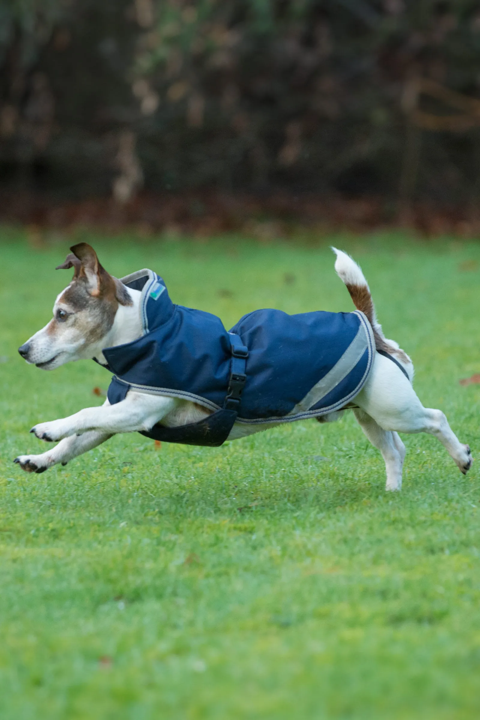 New Freedom Hundedekken, 50g (30-45 cm) Hundeklær Og Hundedekken