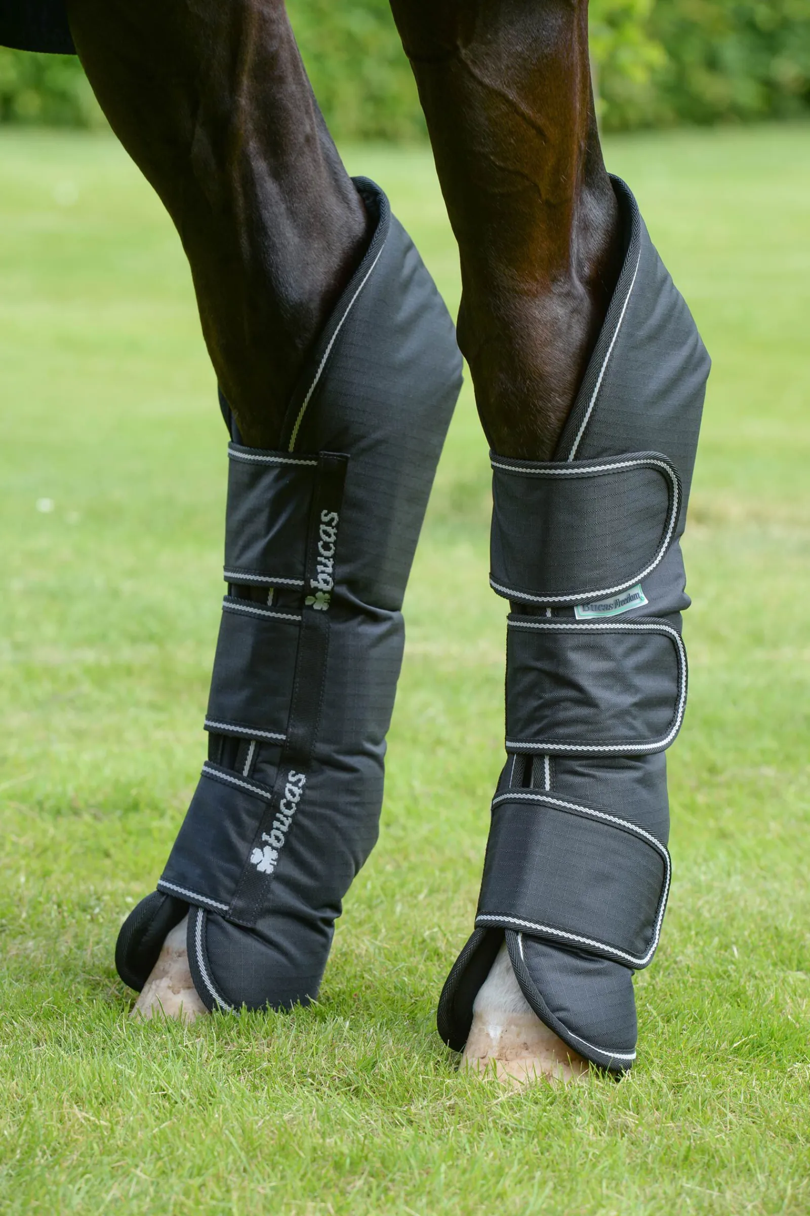 Clearance Freedom transportbelegg Belegg Til Hest