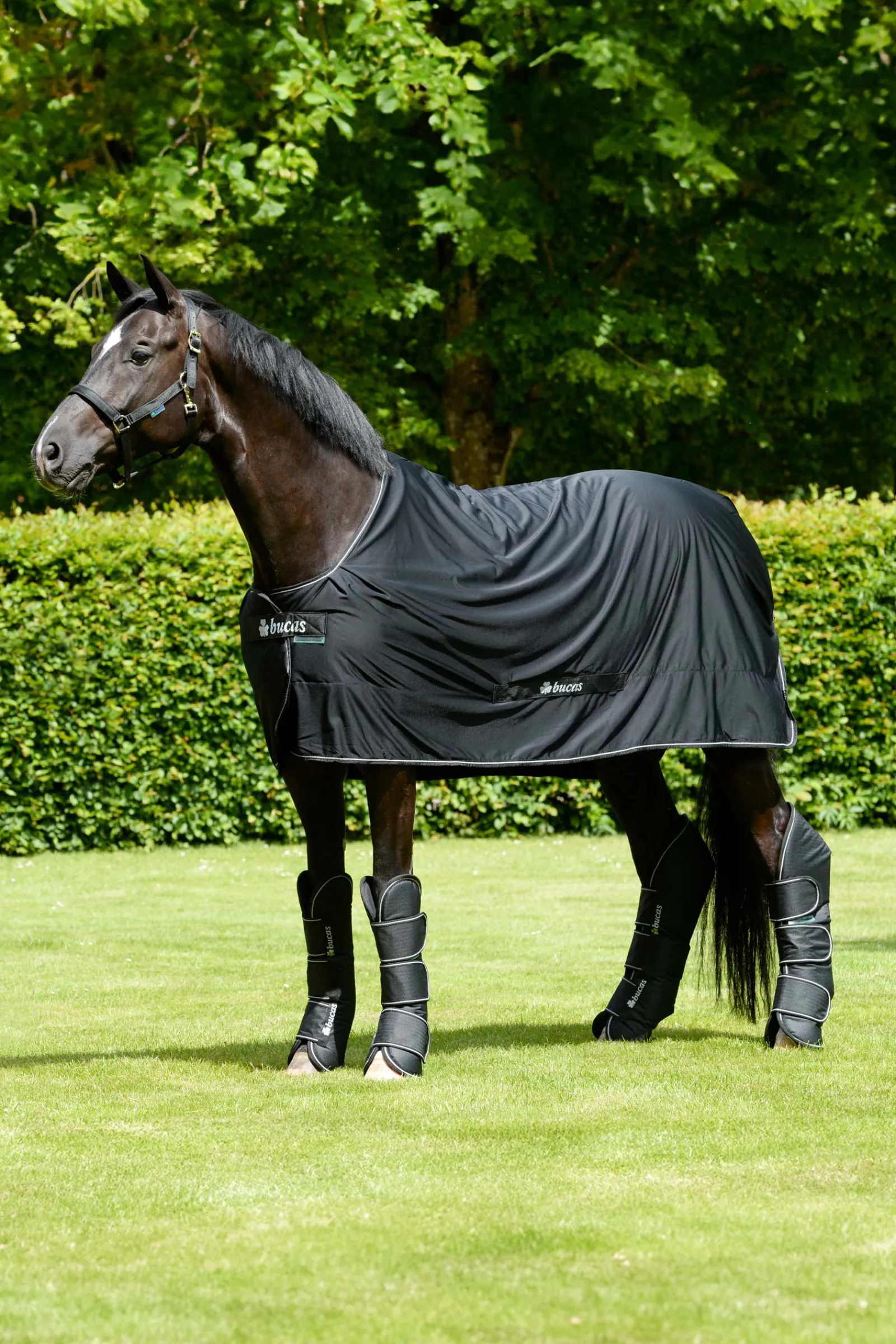 Clearance Freedom transportbelegg Belegg Til Hest