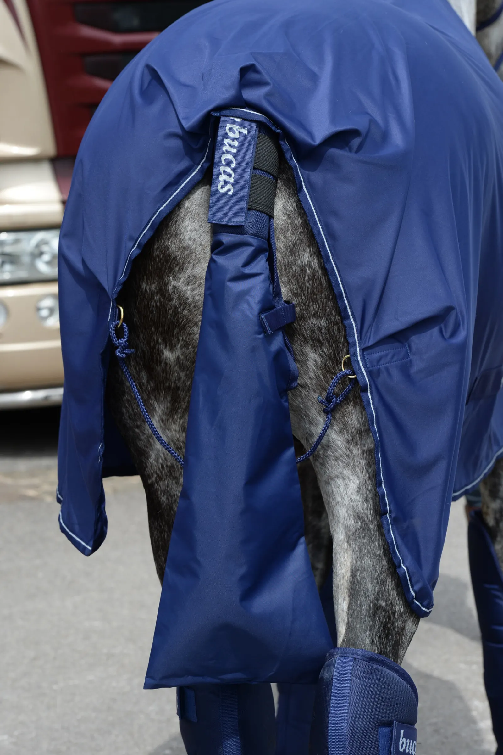 Discount Halebeskytter & Halebag Belegg Til Hest