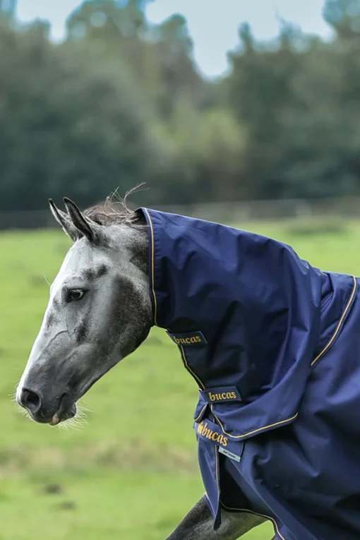 New Irish Turnout halestykke, 0g Hals Til Dekken