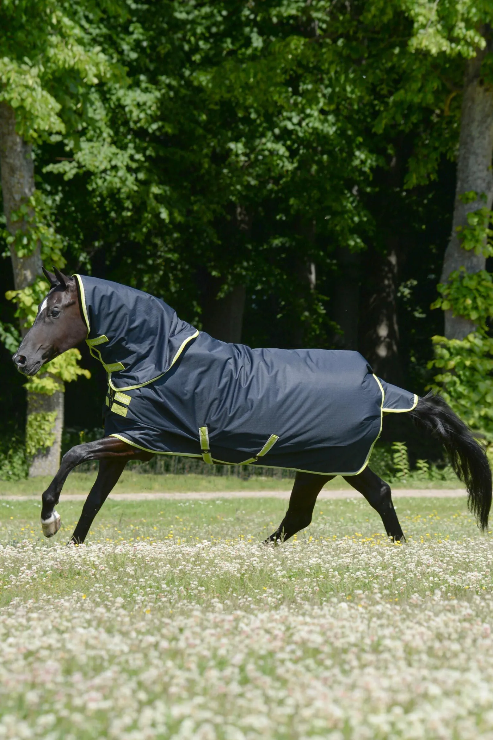 Best Oasis utedekken + halsstykke sett, 100g Regndekken