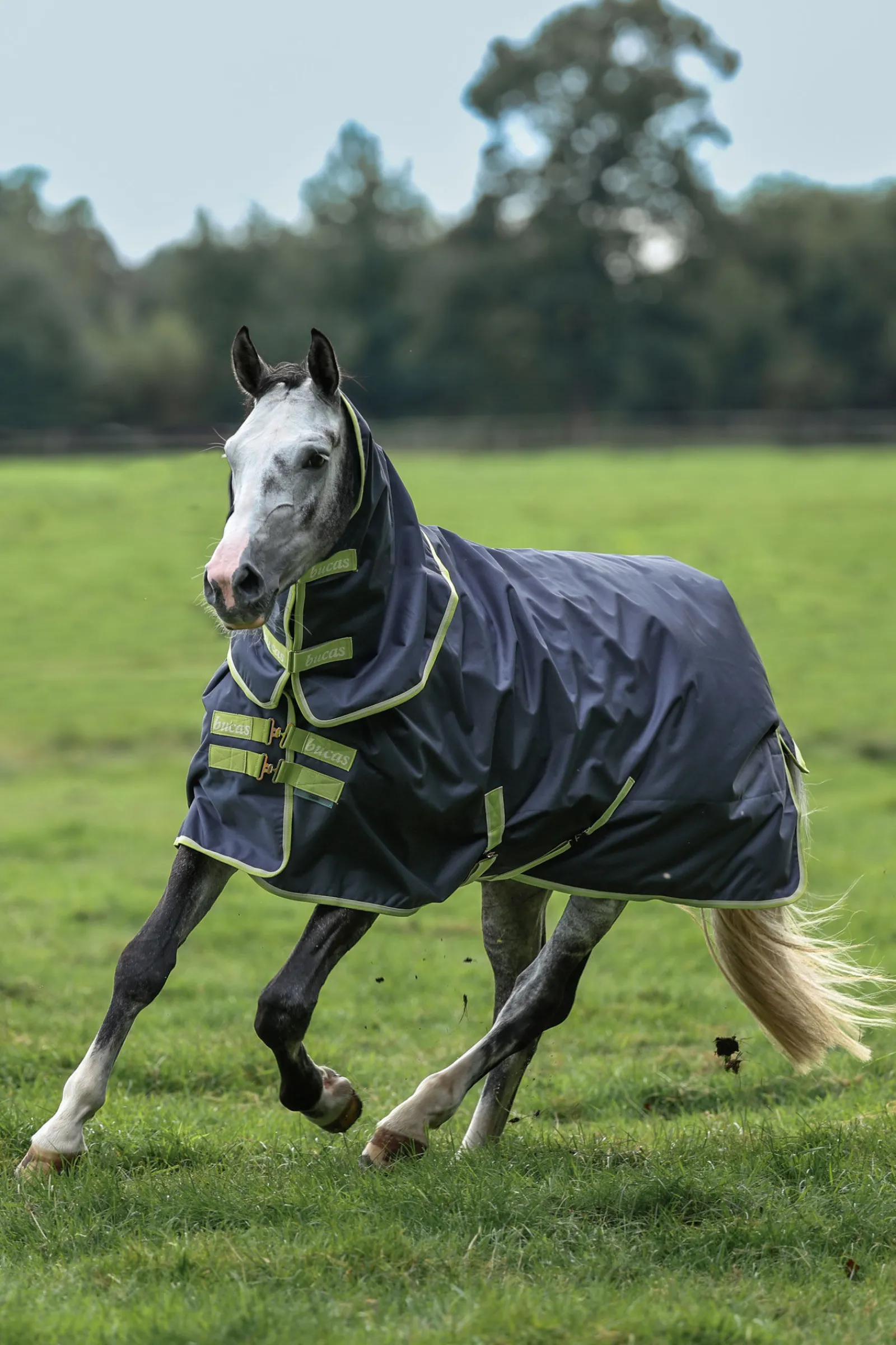 Best Oasis utedekken + halsstykke sett, 100g Regndekken