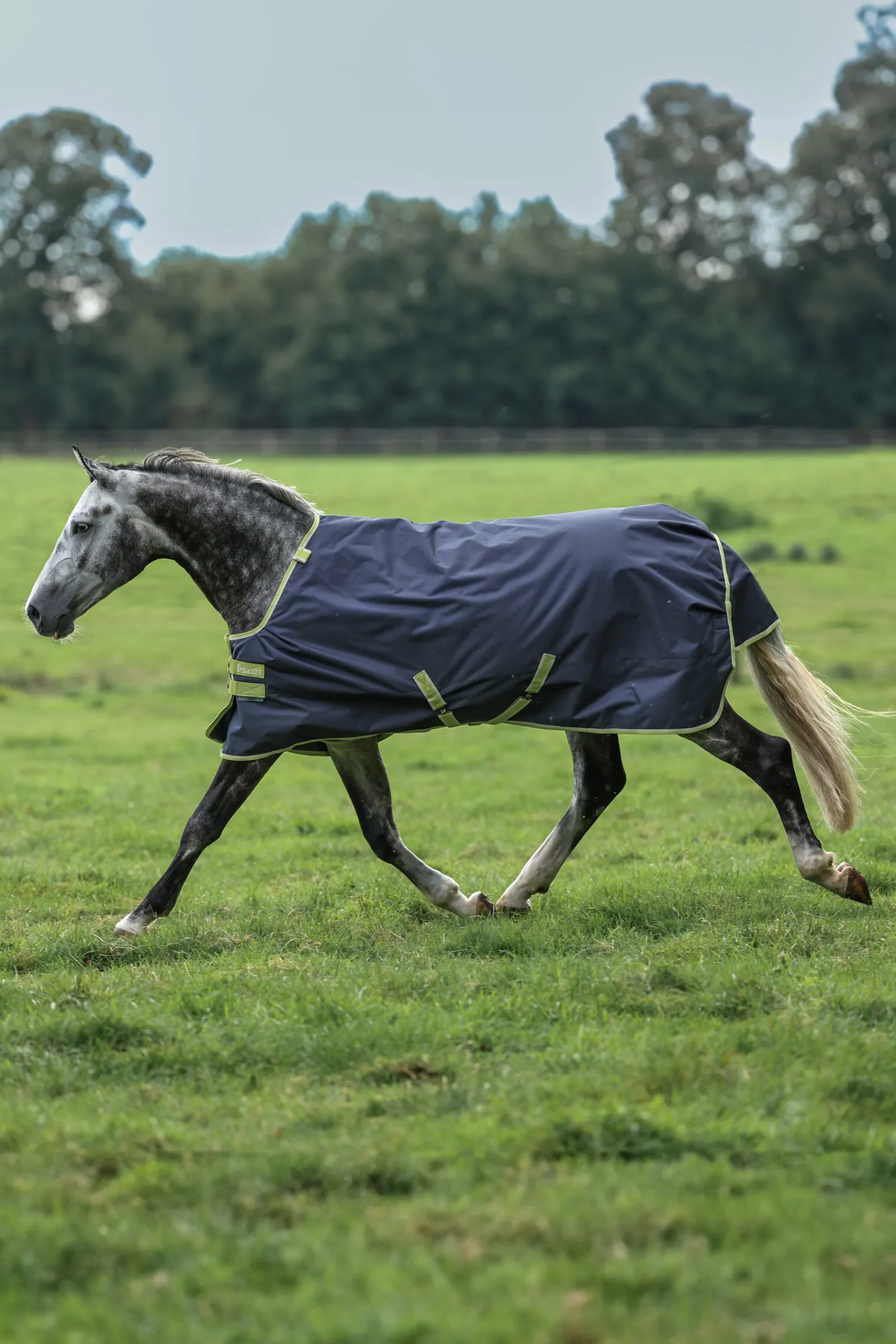 Best Oasis utedekken + halsstykke sett, 100g Regndekken