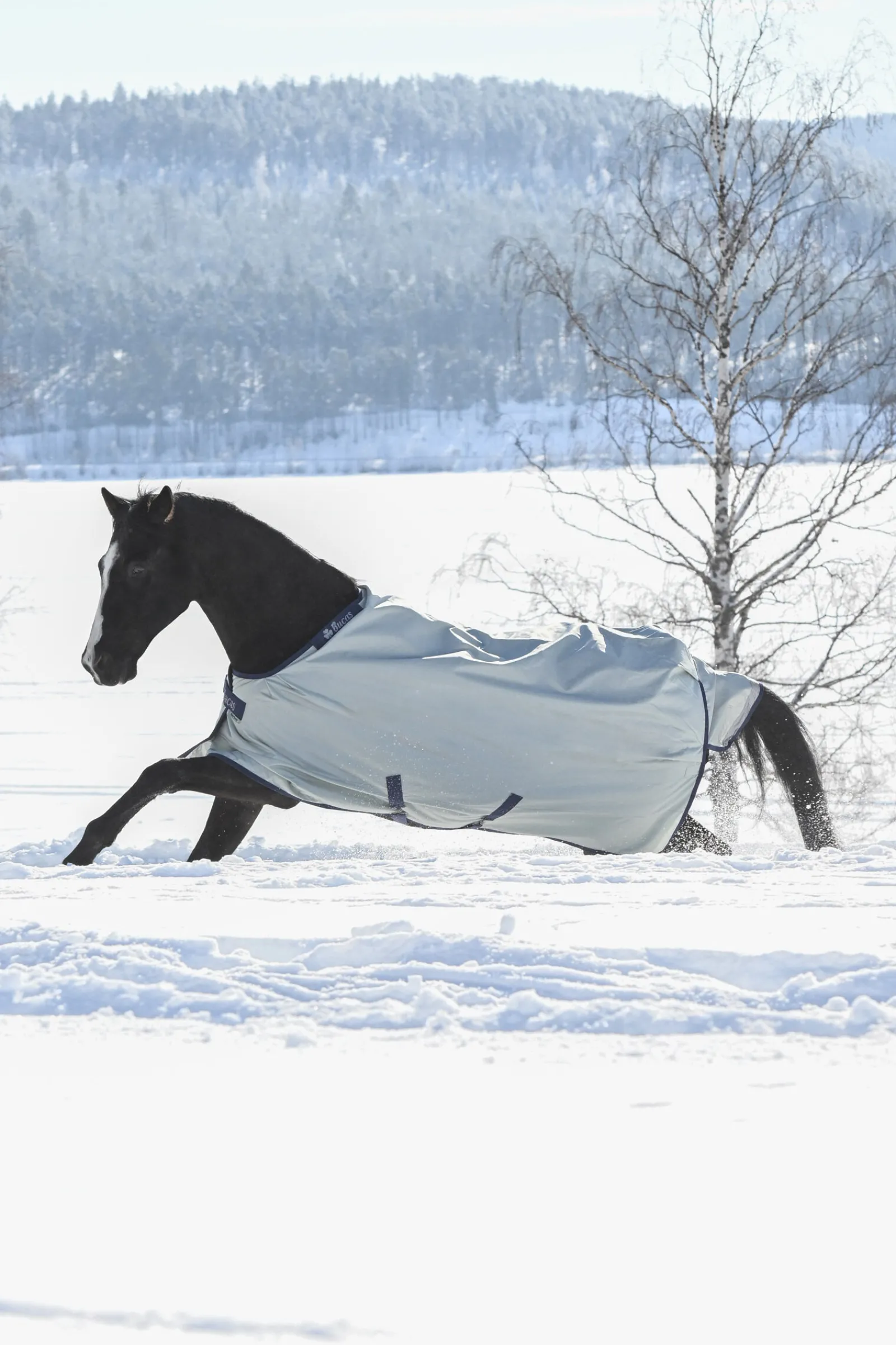 New Power Extra Utedekken med svettetransporterende funksjon, 300g Overgangsdekken & Vinterdekken