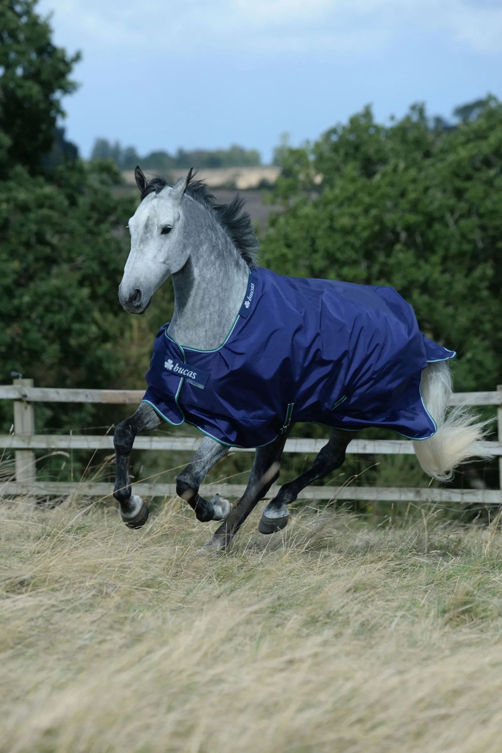 Outlet Smartex Medium utedekken, 150g Overgangsdekken & Vinterdekken
