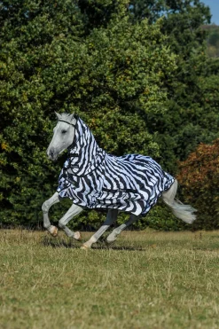 Sweet-Itch Zebra eksemdekken med fast hals Insektsdekken|Insektsdekken