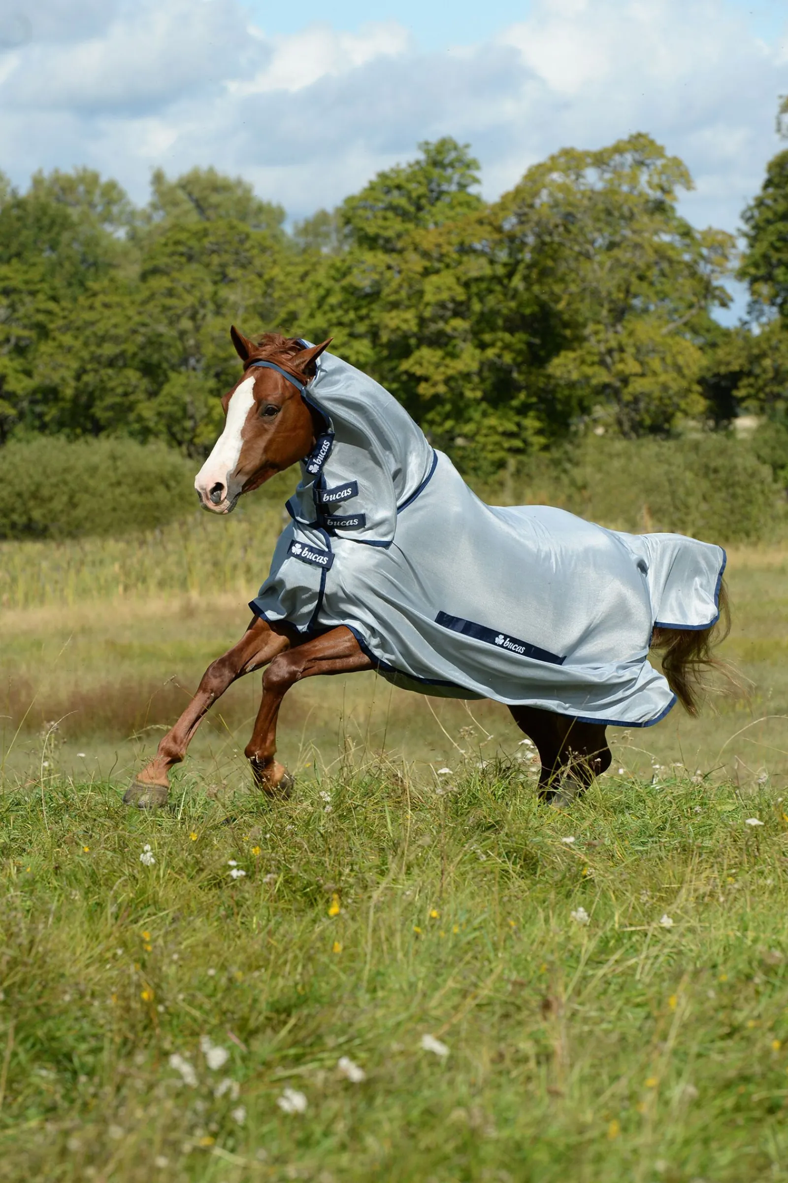 Online Buzz-Off Halsdekken til ponni Ponnidekken|Ponnidekken