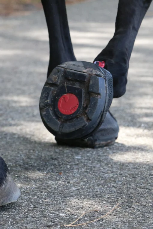 Cavallo Hoof Boots F.R.A. Trek Boots (smal/par) Boots Til Hest