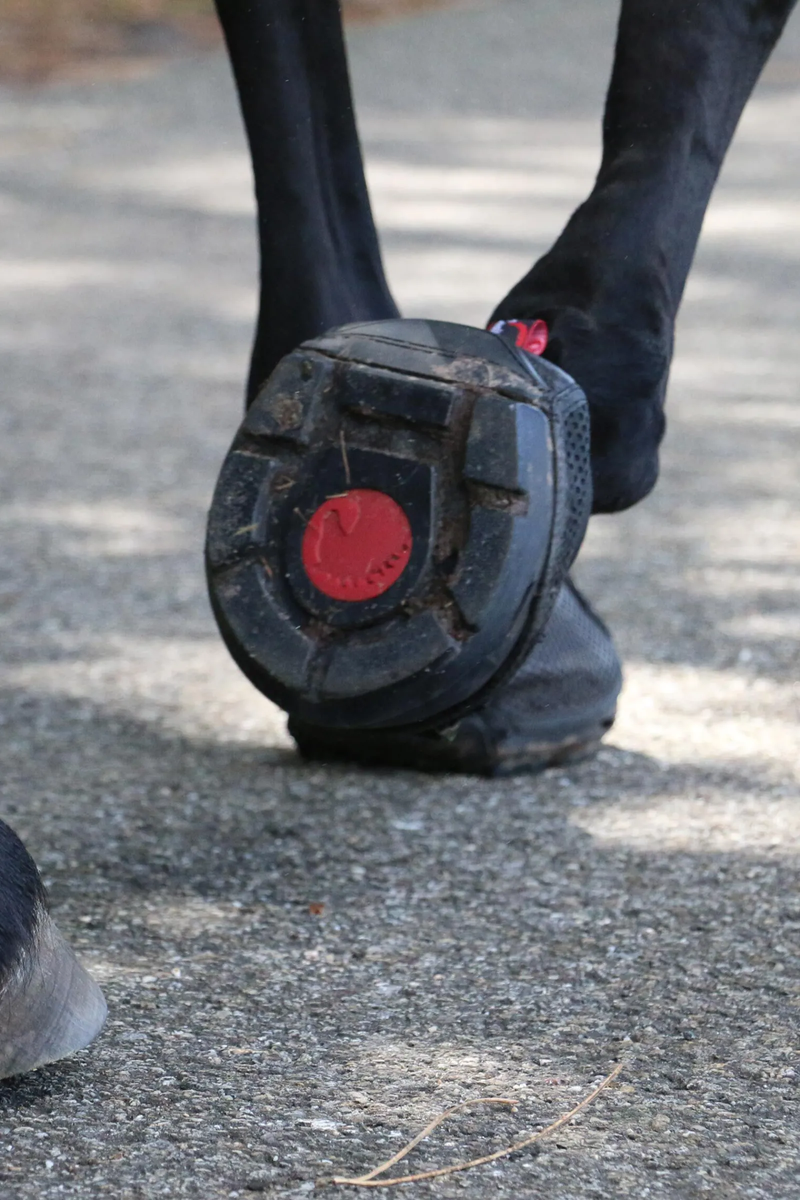 Cavallo Hoof Boots F.R.A. Trek Boots (smal/par) Boots Til Hest