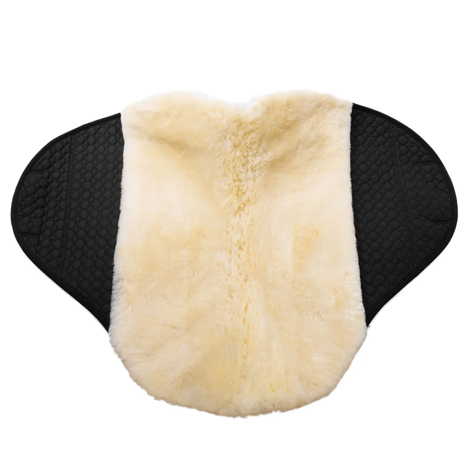 Online Voilock Champ for bomløs sal Ponni Sjabrak|Allround- Og Sprangsjabraker