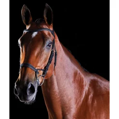 Sale ComFiTec Training, hodelag Ponni Hodelag Og Grimer|Hodelag & Nesereimer