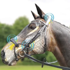 Sale ComFiTec Training, hodelag Ponni Hodelag Og Grimer|Hodelag & Nesereimer