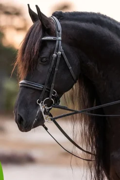 Online Cowboy Magic Detangler & Shine邃 Stell Pels, Hud Og Man