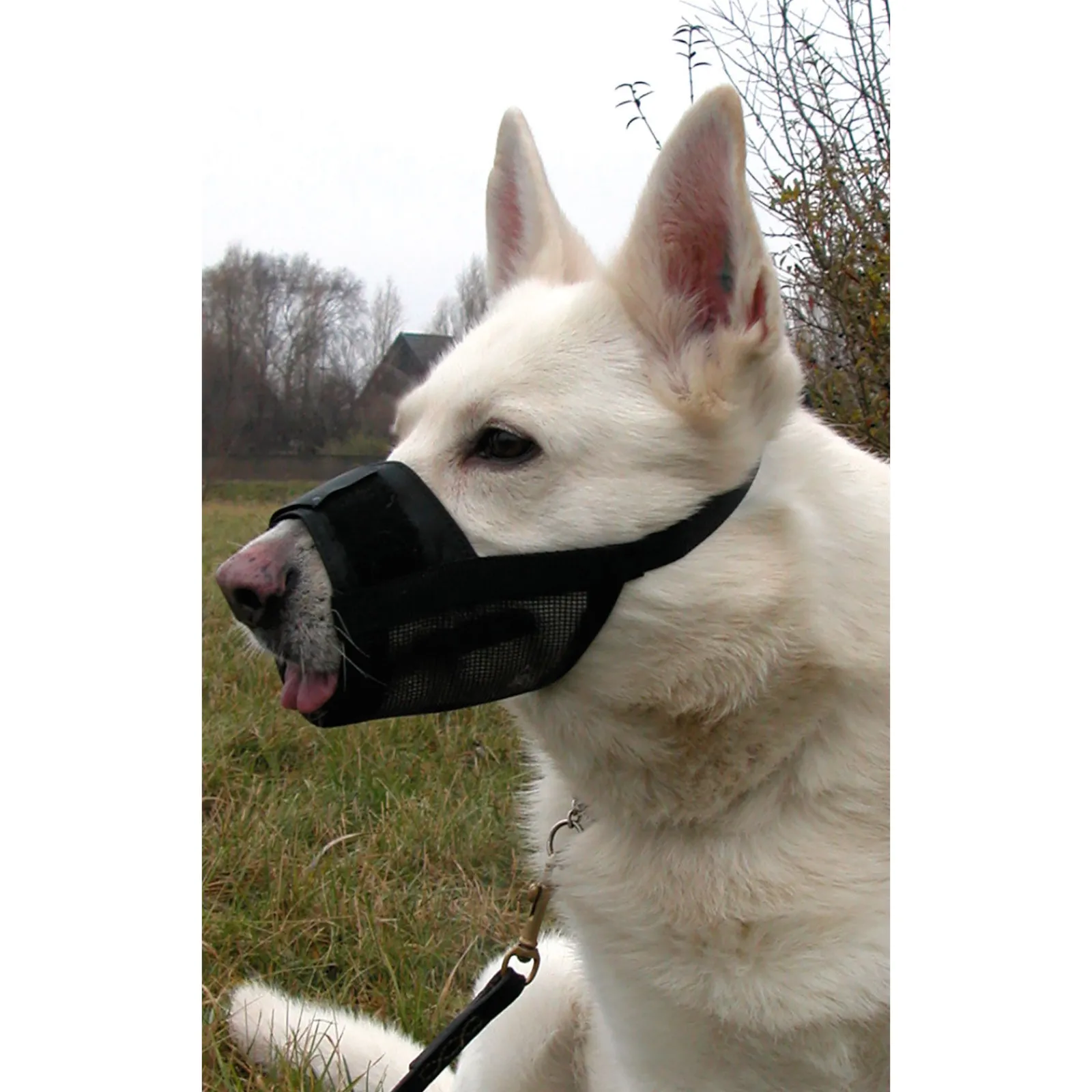New munnkurv, nylon Treningsprodukter Til Hund