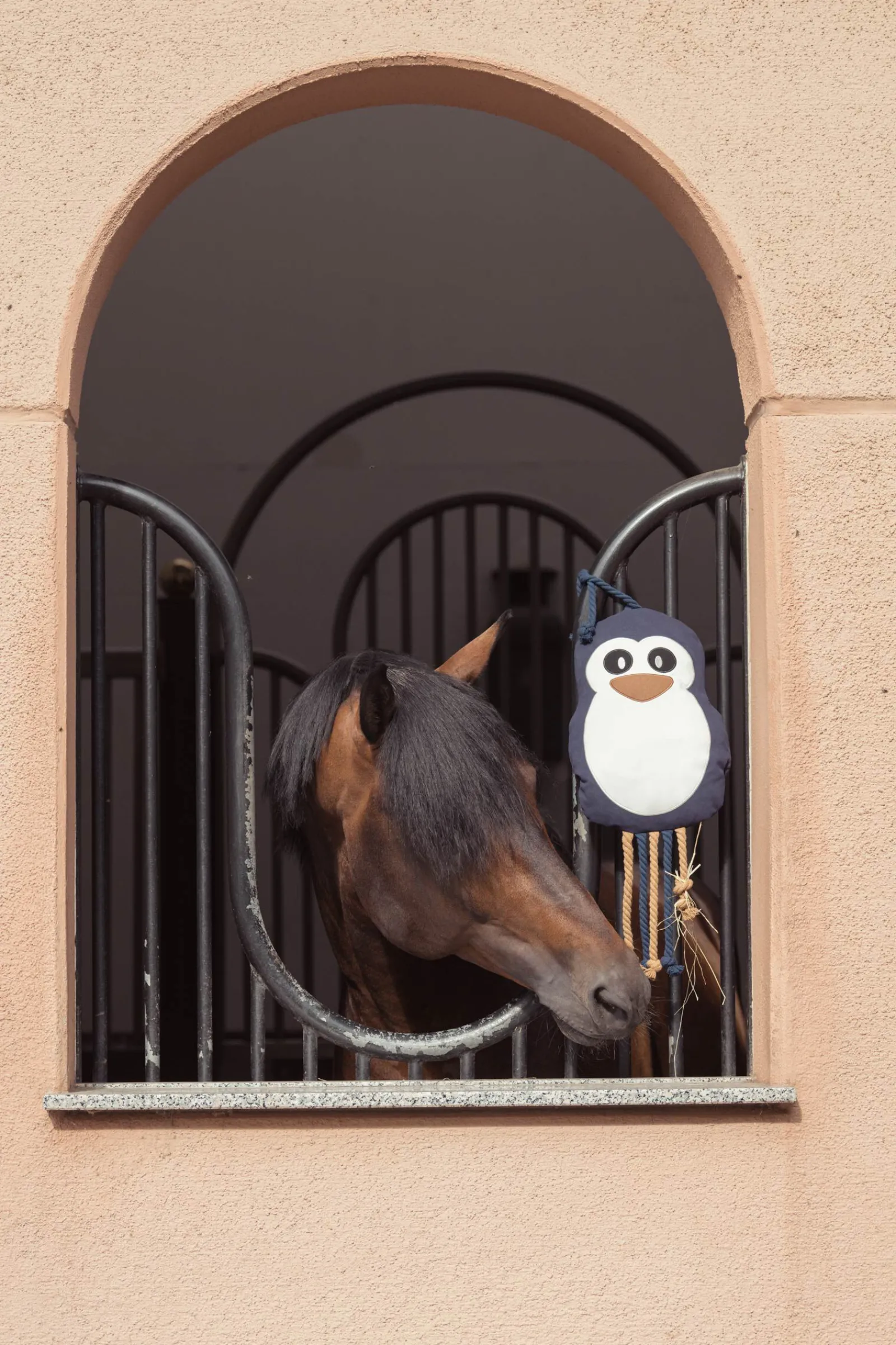 Online Heritage AW24 Penguin hesteleke Hesteleker Og Utstyr Til Ridebanen|Hesteleker