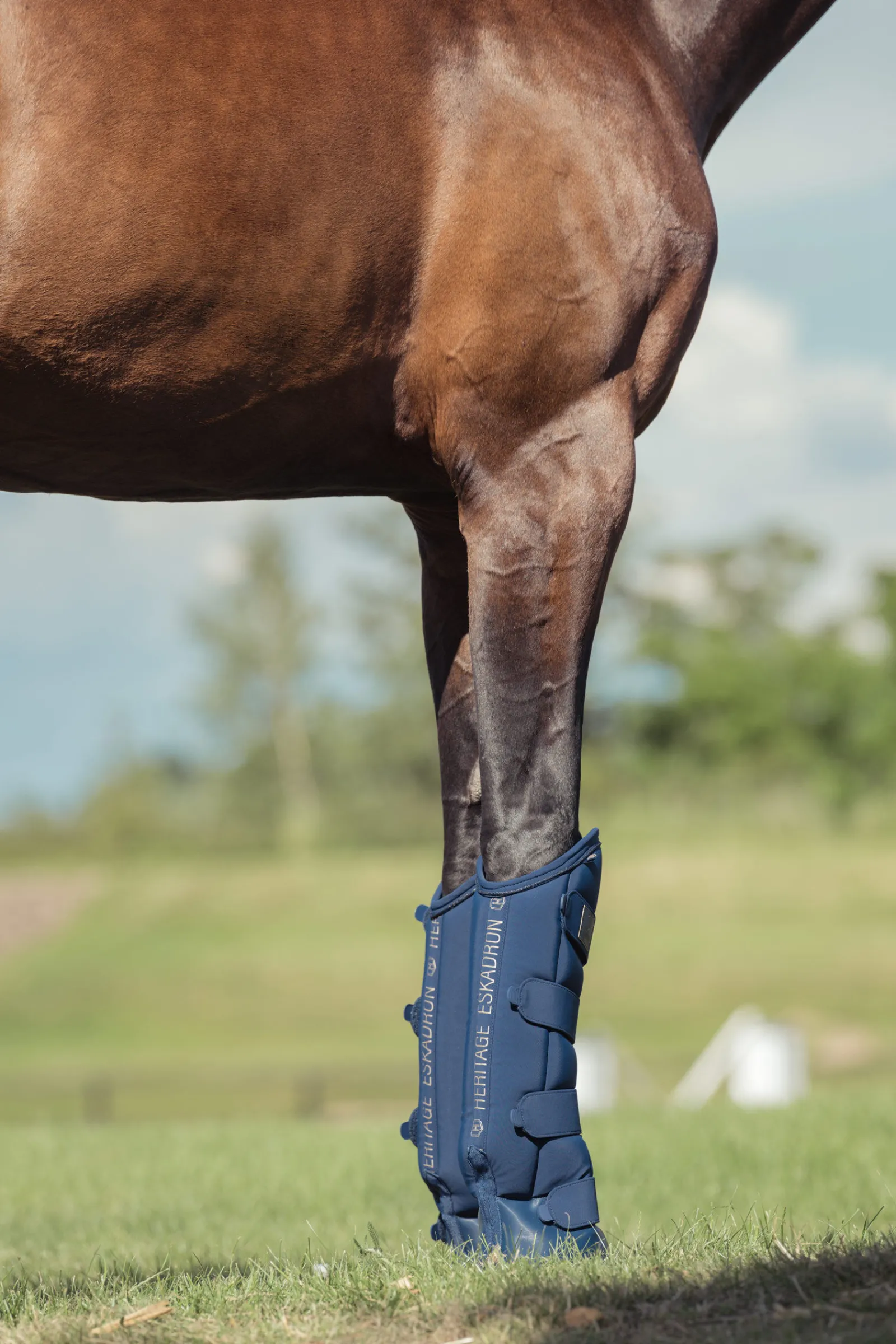 Clearance Heritage AW24 Softshell Transportbelegg Belegg Til Hest