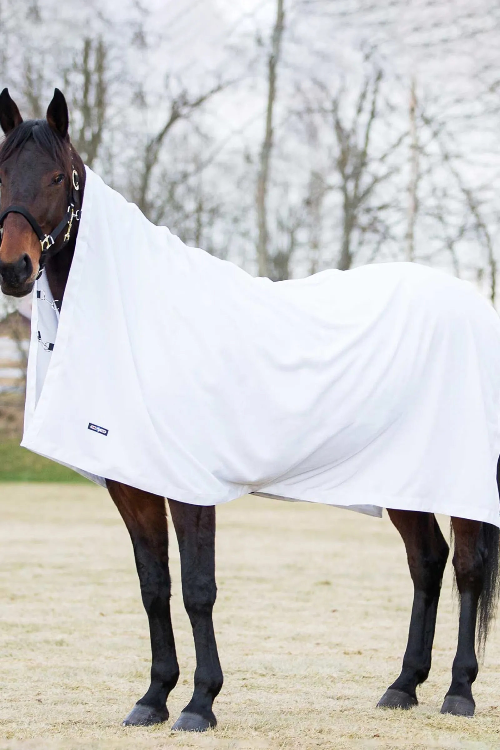 Online kjøledekken i fleece Ulldekken Og Svettedekken