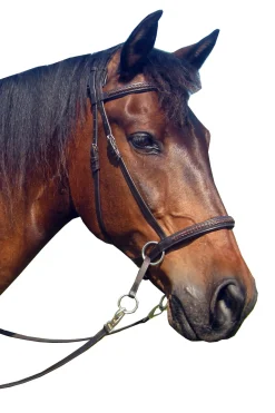 F.R.A. Freedom Riding Articles Ulan biltess bridle (system 5) i lær, med lærtøyler Hodelag & Nesereimer