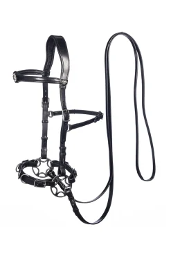 Sale F.R.A. Freedom Riding Articles Caval komplett cavemore hodelag (system 2) i engelsk lær, shire Hodelag & Nesereimer