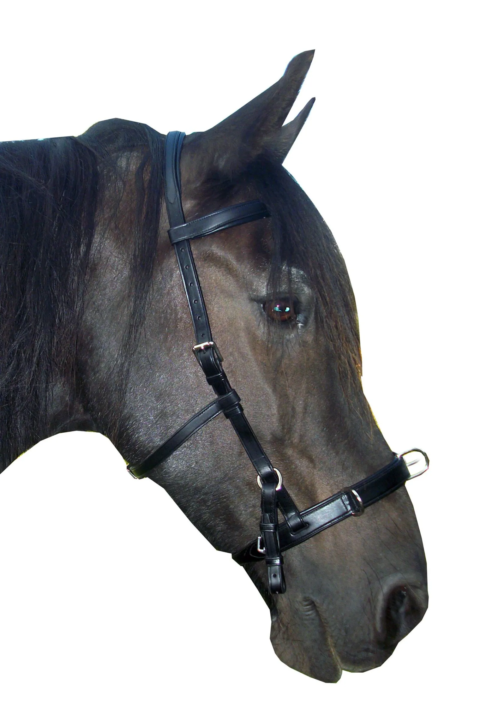 Sale F.R.A. Freedom Riding Articles Baro kapsun, lær (shire) Kapsun|Kapsun