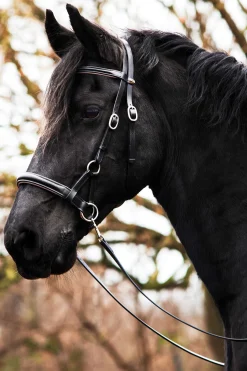 New F.R.A. Freedom Riding Articles Pardoes de Luxe Sidepull med tøyler (system 3) Hodelag & Nesereimer