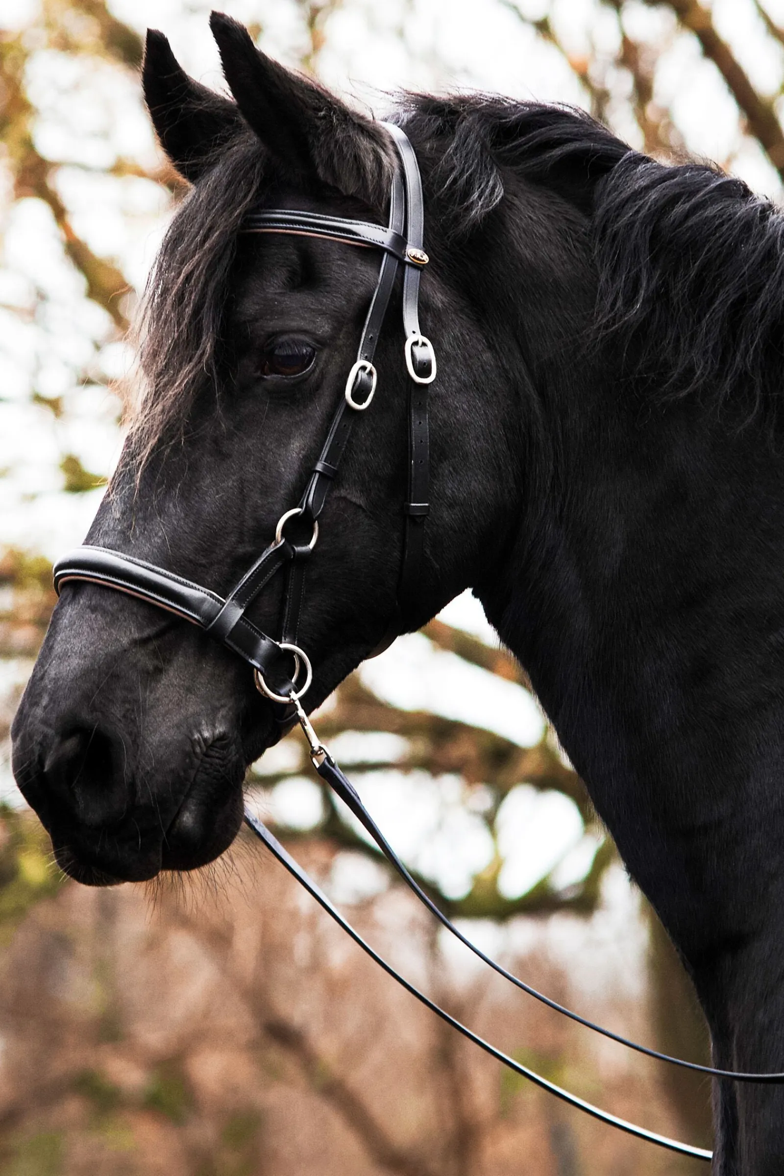New F.R.A. Freedom Riding Articles Pardoes de Luxe Sidepull med tøyler (system 3) Hodelag & Nesereimer