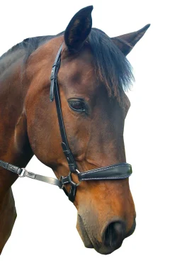 F.R.A. Freedom Riding Articles Lami bitless bridle (system 4) med tøyler og krokfeste Hodelag & Nesereimer