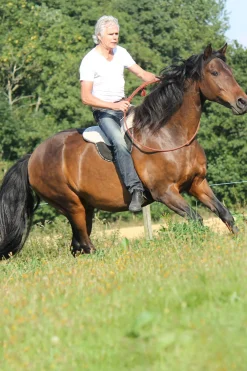 Discount F.R.A. Freedom Riding Articles Free barbakpad, full Saler