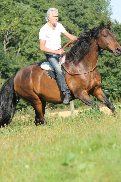 Discount F.R.A. Freedom Riding Articles Free barbakpad, full Saler